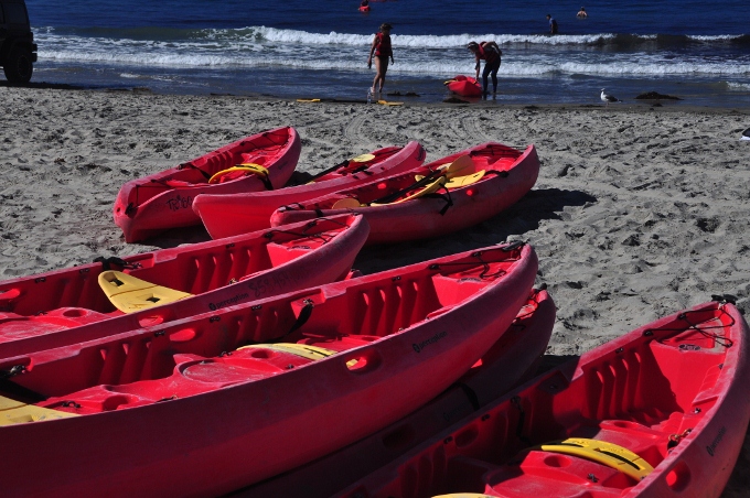 kayaks on the beach for rent